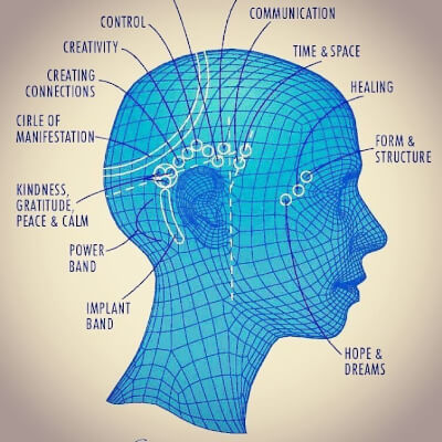 Offermans, Veerle Veerle Offermans
